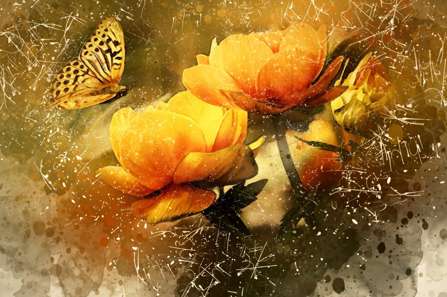 Home 153 butterfly 1625230 1920