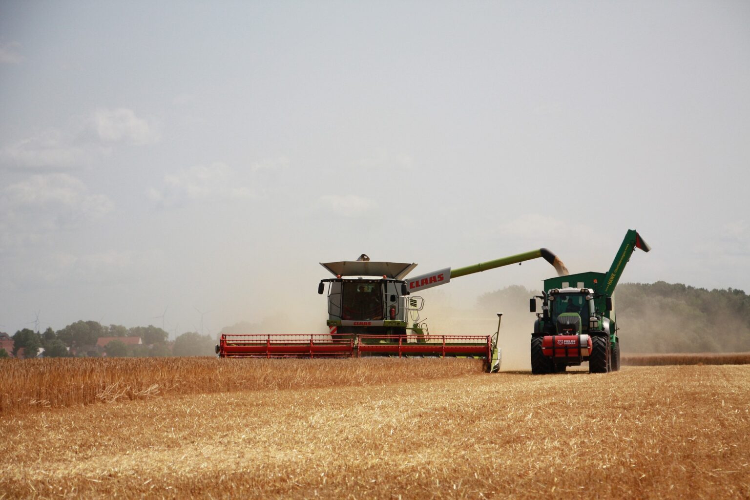 Home 104 harvest 8192037 1920