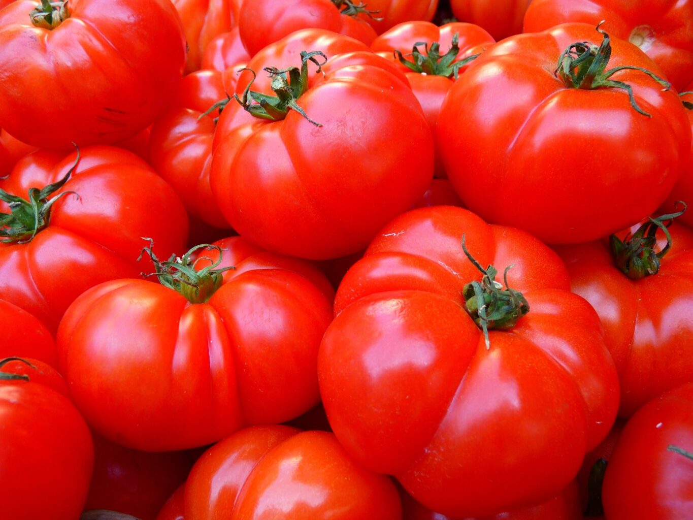 Home 35 tomatoes 5356 1920